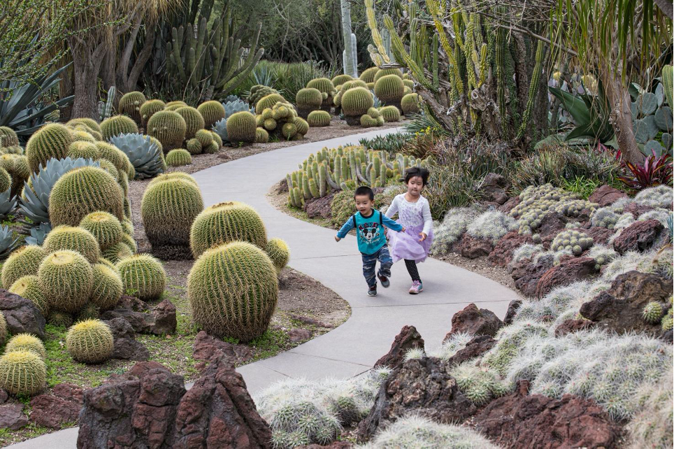 想看全世界最大的仙人掌和多肉植物園嗎 來漢庭頓公園就對了 洛杉磯週報 亞洲版