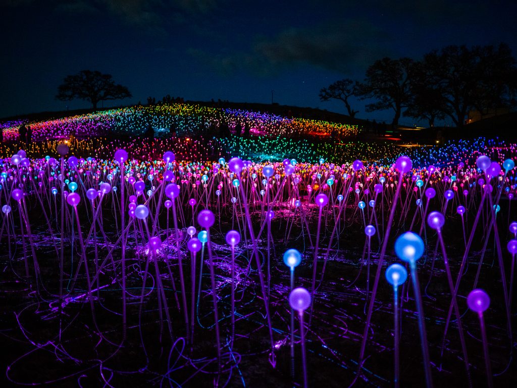 紐約時報評選為全美最佳景點之一『Field of Light』五萬顆燈泡覆蓋在加州山坡上的絢爛奇景