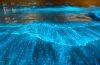 Bioluminescent waves hit Orange County