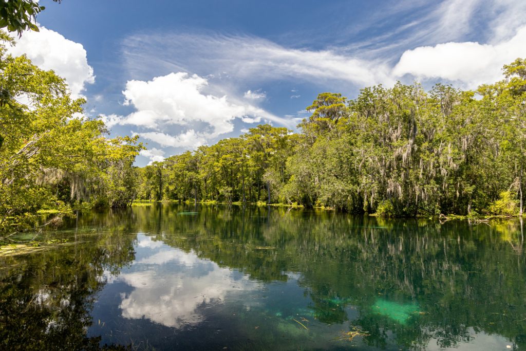 Silver Springs State Park