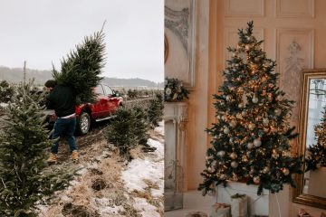 加州購買真聖誕樹攻略