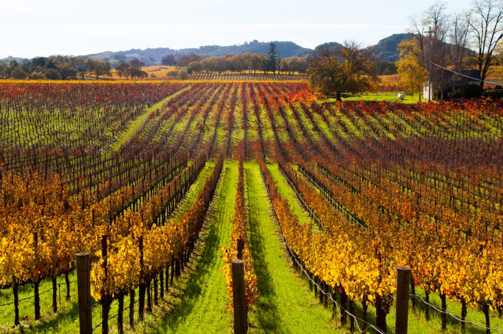 Healdsburg