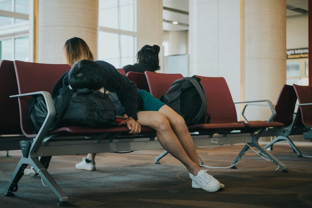google flights holiday travel trends