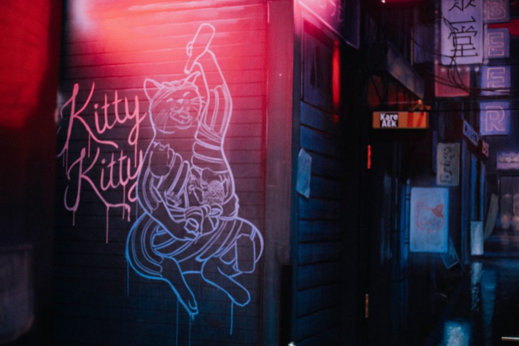 Here Kitty Kitty